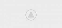 wood-gallery-placeholder-5